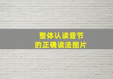 整体认读音节的正确读法图片