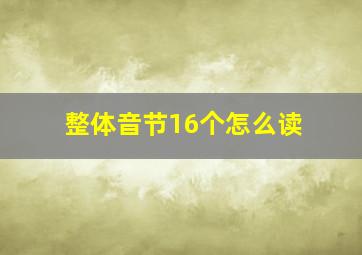 整体音节16个怎么读