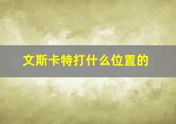 文斯卡特打什么位置的