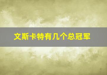 文斯卡特有几个总冠军