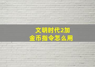 文明时代2加金币指令怎么用