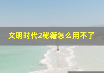 文明时代2秘籍怎么用不了