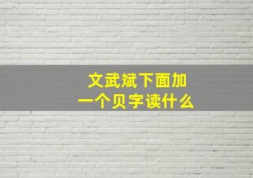 文武斌下面加一个贝字读什么