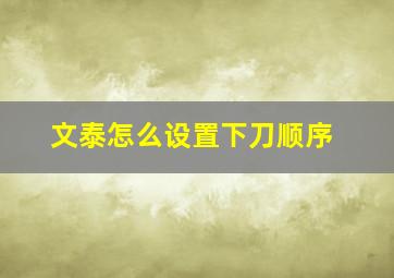 文泰怎么设置下刀顺序