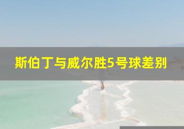 斯伯丁与威尔胜5号球差别