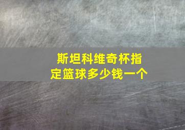 斯坦科维奇杯指定篮球多少钱一个