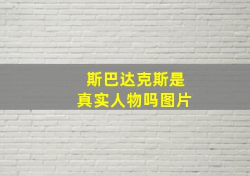 斯巴达克斯是真实人物吗图片