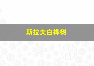 斯拉夫白桦树