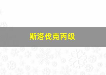 斯洛伐克丙级