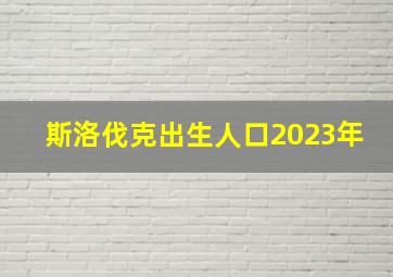 斯洛伐克出生人口2023年