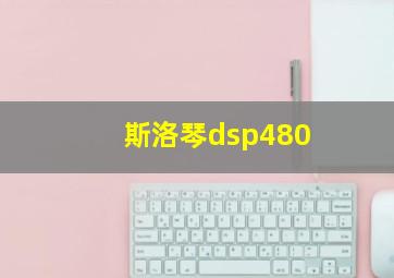 斯洛琴dsp480