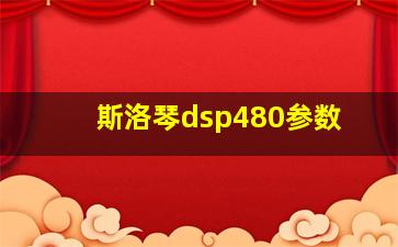 斯洛琴dsp480参数