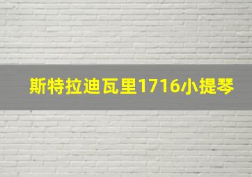 斯特拉迪瓦里1716小提琴