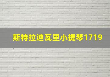 斯特拉迪瓦里小提琴1719