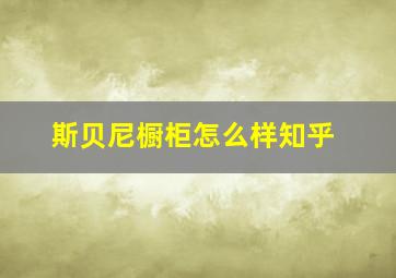 斯贝尼橱柜怎么样知乎