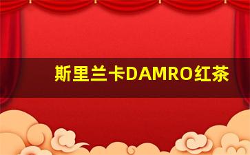 斯里兰卡DAMRO红茶