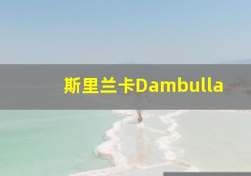 斯里兰卡Dambulla