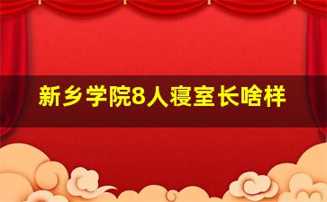 新乡学院8人寝室长啥样