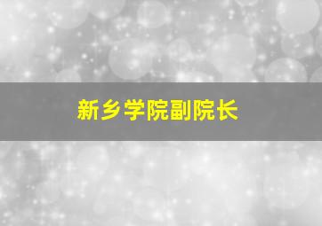 新乡学院副院长