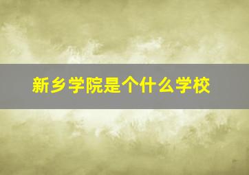 新乡学院是个什么学校