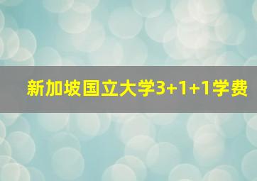 新加坡国立大学3+1+1学费