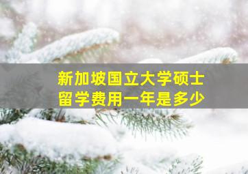 新加坡国立大学硕士留学费用一年是多少