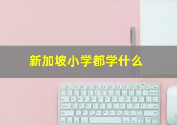 新加坡小学都学什么