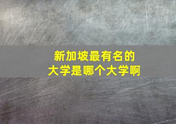 新加坡最有名的大学是哪个大学啊