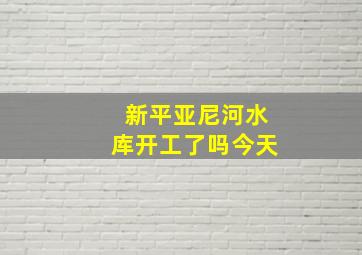 新平亚尼河水库开工了吗今天