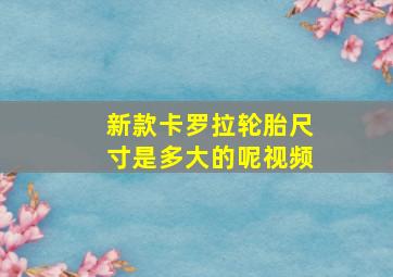 新款卡罗拉轮胎尺寸是多大的呢视频