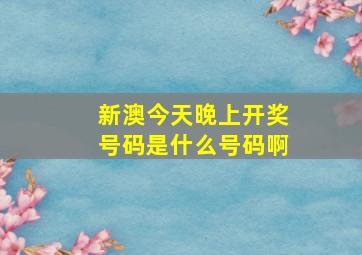 新澳今天晚上开奖号码是什么号码啊