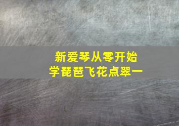 新爱琴从零开始学琵琶飞花点翠一