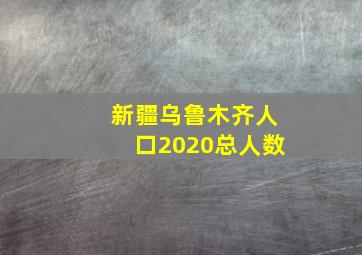 新疆乌鲁木齐人口2020总人数