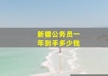 新疆公务员一年到手多少钱