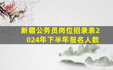 新疆公务员岗位招录表2024年下半年报名人数