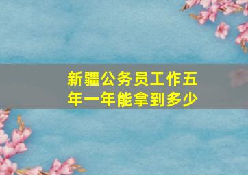 新疆公务员工作五年一年能拿到多少