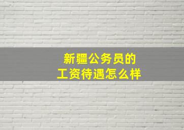 新疆公务员的工资待遇怎么样