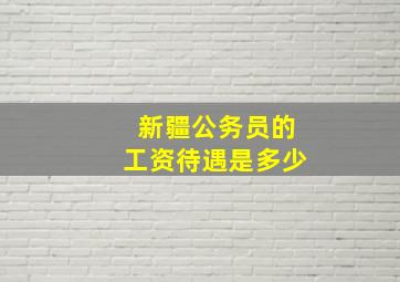 新疆公务员的工资待遇是多少