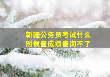 新疆公务员考试什么时候查成绩查询不了