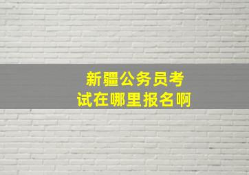 新疆公务员考试在哪里报名啊