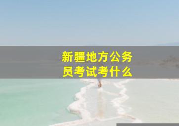 新疆地方公务员考试考什么