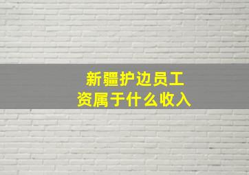 新疆护边员工资属于什么收入