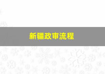 新疆政审流程