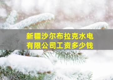 新疆沙尔布拉克水电有限公司工资多少钱