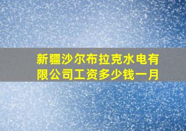 新疆沙尔布拉克水电有限公司工资多少钱一月