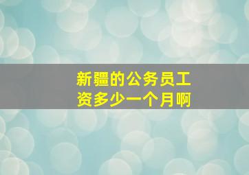 新疆的公务员工资多少一个月啊