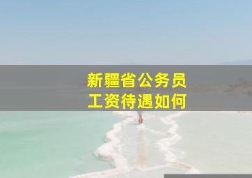 新疆省公务员工资待遇如何