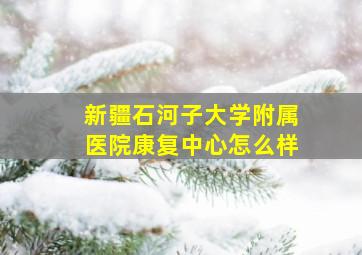 新疆石河子大学附属医院康复中心怎么样