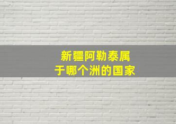 新疆阿勒泰属于哪个洲的国家