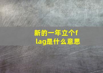 新的一年立个flag是什么意思